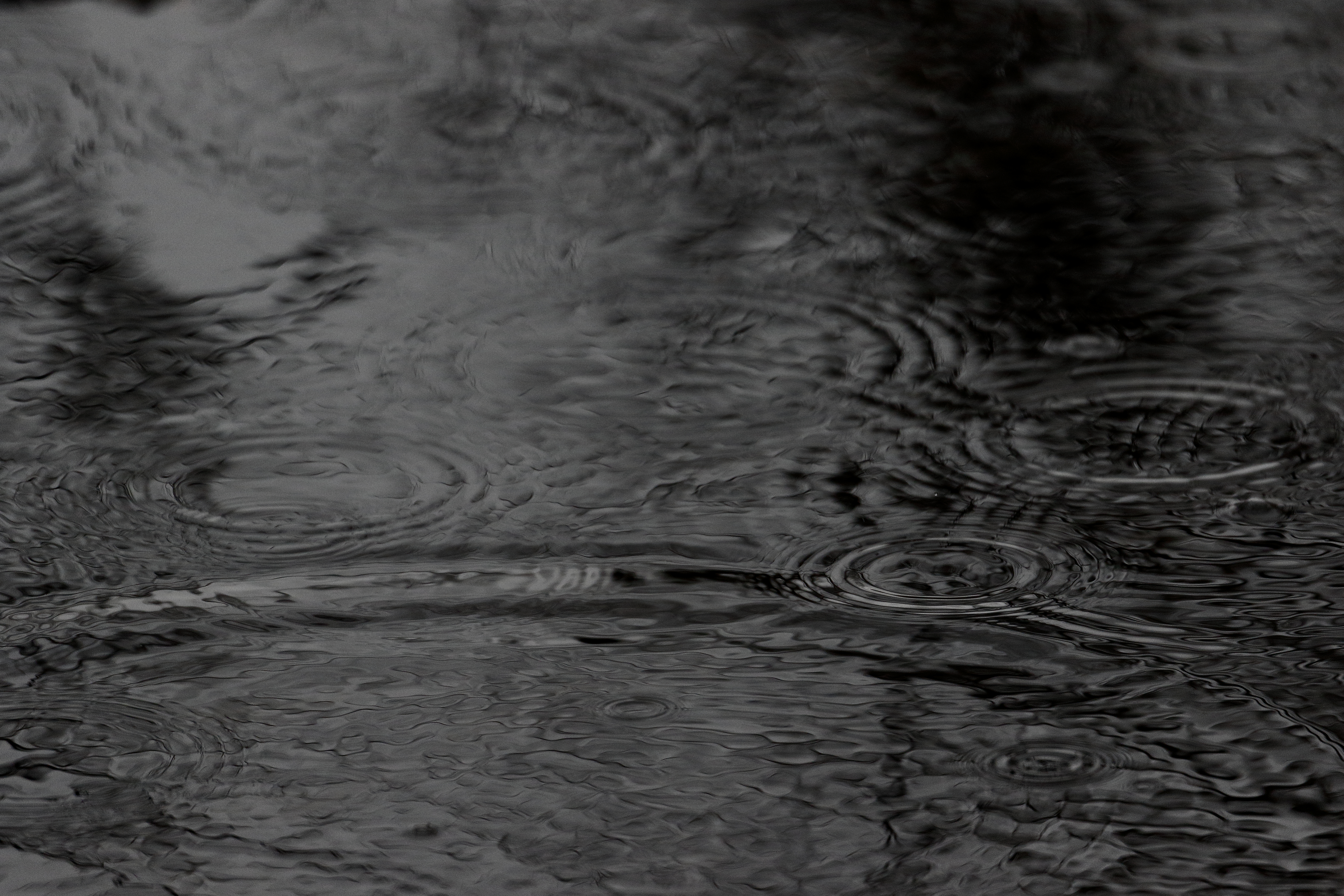 Water Circles Waves Rain Black-and-white