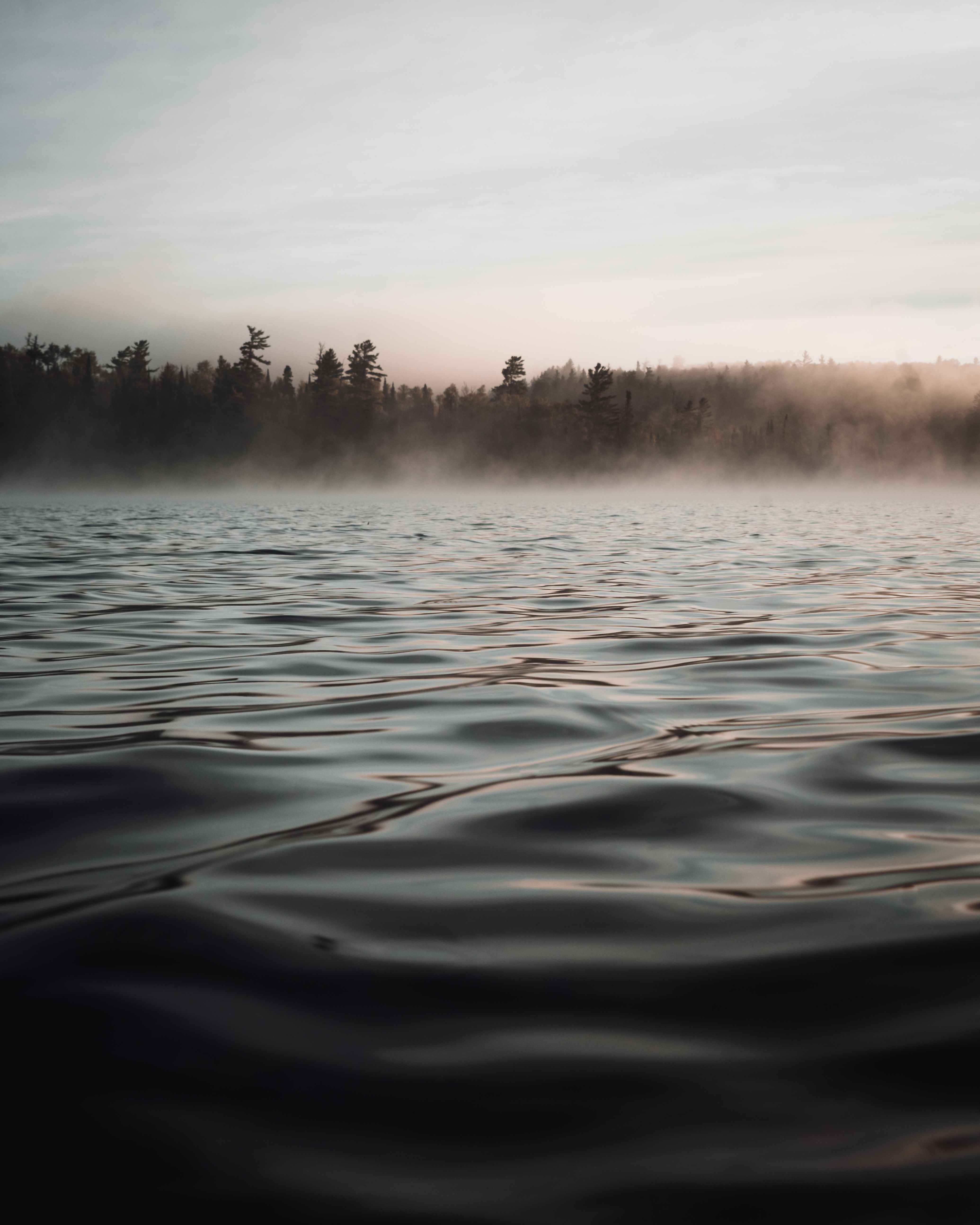 Water Waves Fog Trees Twilight