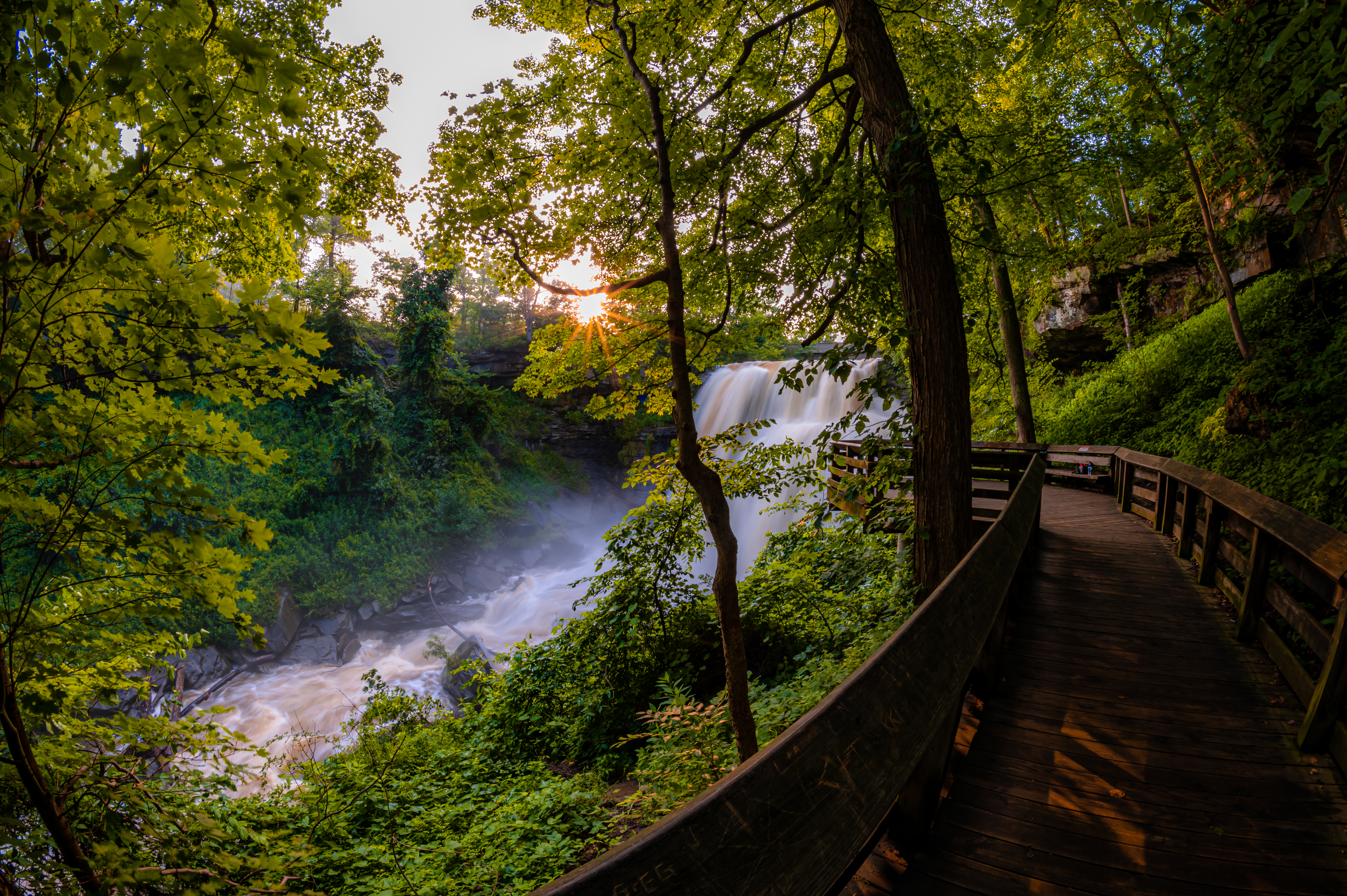 Waterfall Trees Bridge Nature Landscape