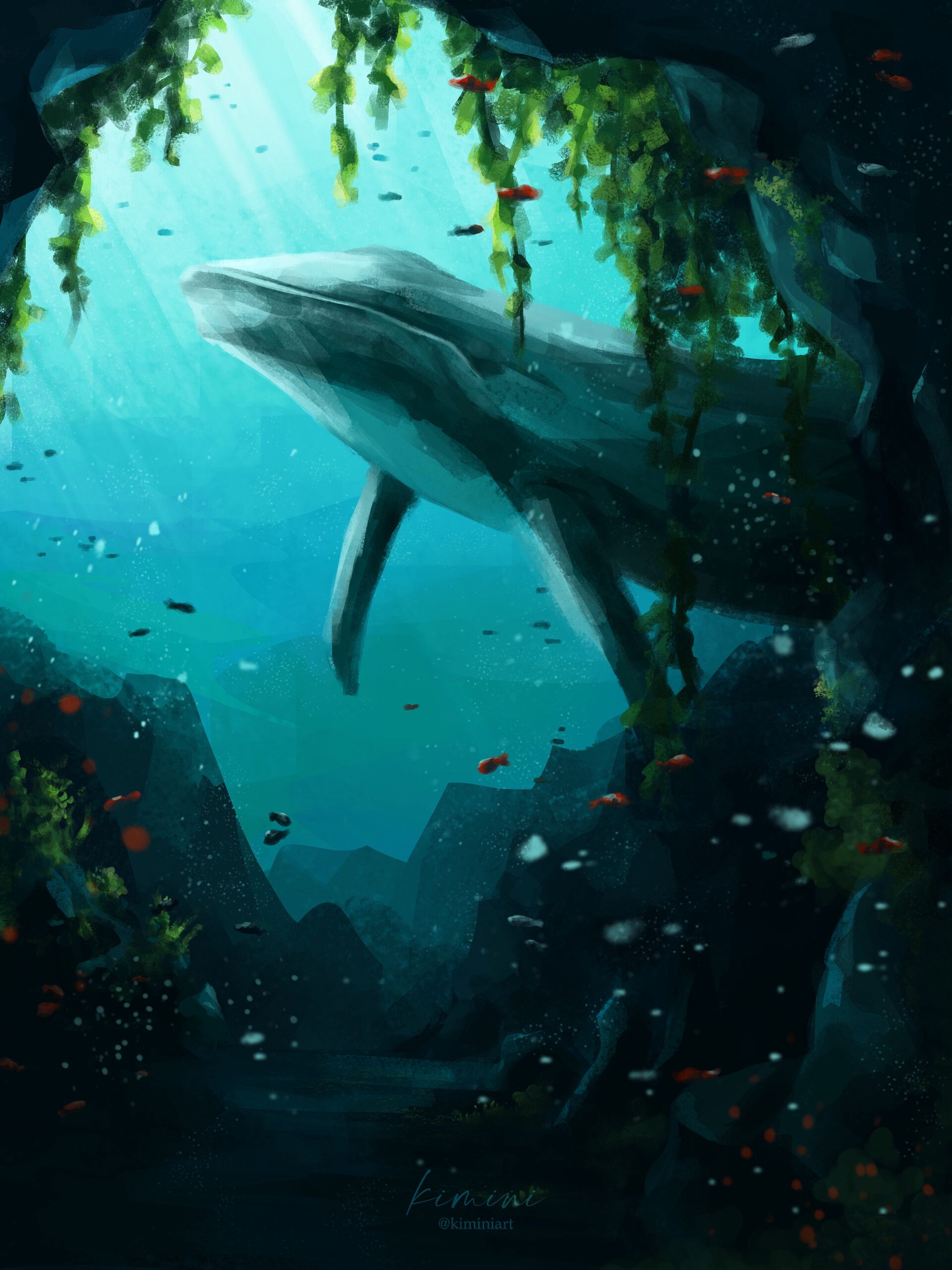 Whale Animal Underwater Water Fish Art