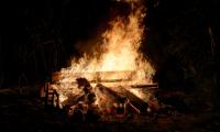 Bonfire Logs Flame Dark