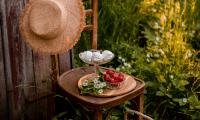 Chair Berries Marshmallows Dessert Picnic Nature