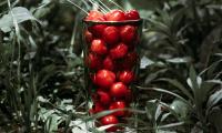 Cherry Berries Glass Grass Macro