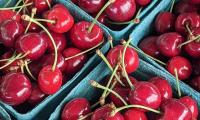 Cherry Berries Ripe Red