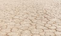 Desert Hills Cranny Dry