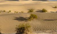 Desert Hills Sand Nature