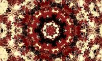 Fractal Pattern Brown Abstraction