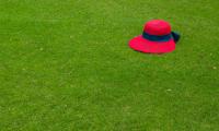 Hat Grass Lawn Green Red