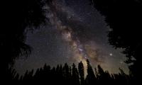 Milky-way Starry-sky Stars Forest Night Dark