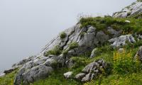Mountain Stones Grass Nature