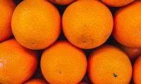 Oranges Fruits Citrus Orange Fresh
