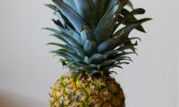 Pineapple Fruit Leaves Ripe
