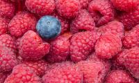 Raspberries Blueberries Berries Ripe Macro