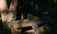 Skateboard Skate Bench Shadow
