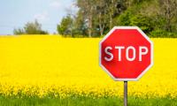 Stop Sign Word Field Flowers
