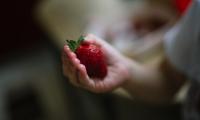 Strawberry Berry Ripe Hand