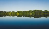 Trees Reflection Lake Water Landscape