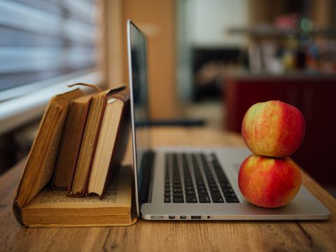 Apples Fruits Laptop