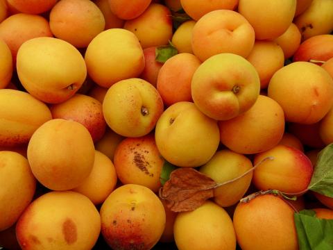 Apricots Fruit Yellow Ripe Summer