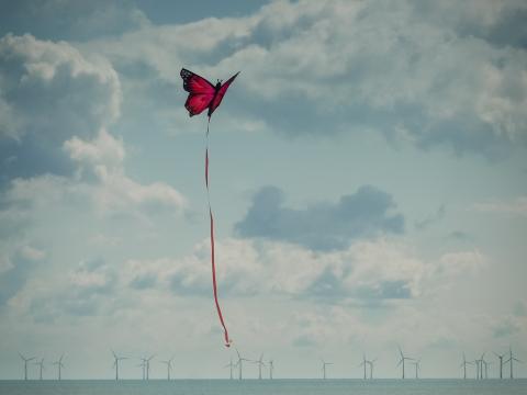 Beach Sea Kite Butterfly Flight