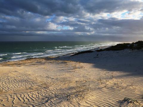 Beach Shore Sea Nature Landscape