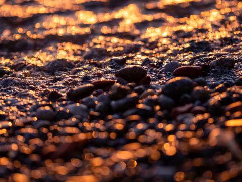 Beach Stones Pebbles Macro