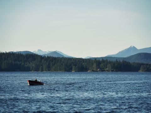 Boat Lake Forest Mountains Landscape