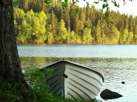 Boat Water River Forest Trees Landscape