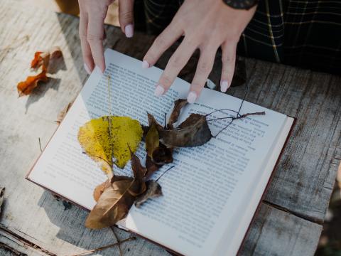 Book Leaves Hands Autumn Aesthetics