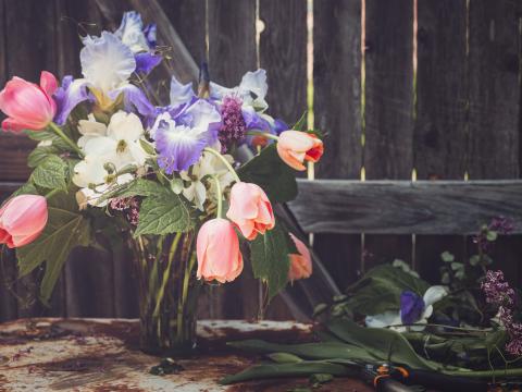 Bouquet Flowers Composition Vase Aesthetics