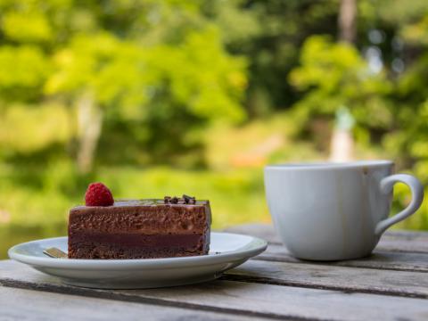 Cake Raspberry Berry Chocolate Dessert