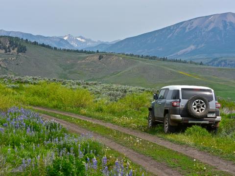 Car Suv Gray Field Path