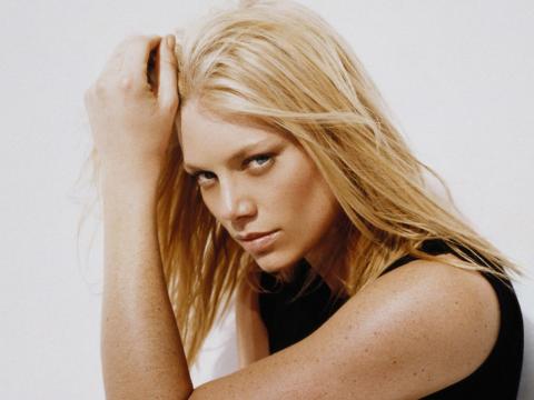 Celebrity Hot Beautiful Woman Peta-wilson