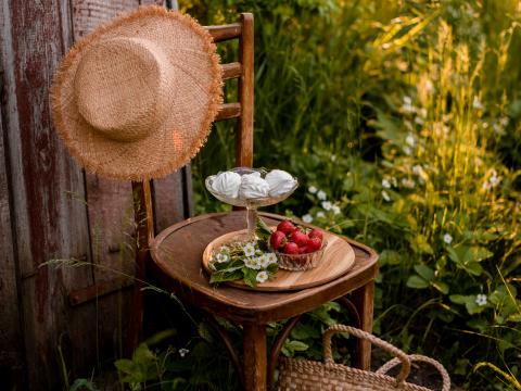 Chair Berries Marshmallows Dessert Picnic Nature