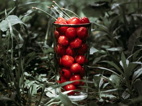 Cherry Berries Glass Grass Macro