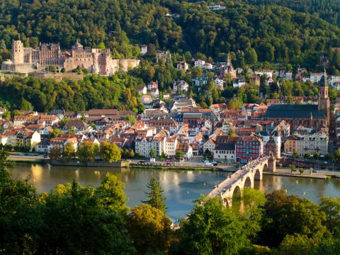 City Buildings Bridge River Trees Aerial-view