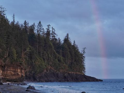 Coast Trees Forest Water Rainbow Landscape