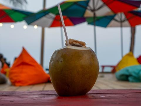 Coconut Nut Straw Drink