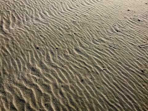 Desert Sand Waves Texture Relief