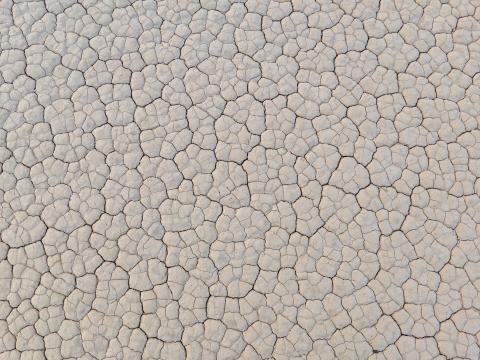 Earth Cranny Dry Texture