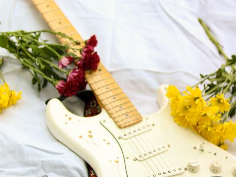Electric-guitar Guitar Music Flowers White