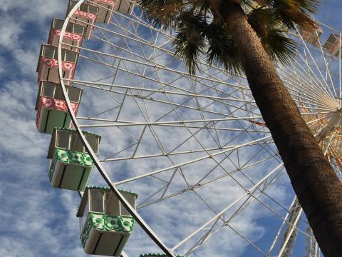 Ferris-wheel Attraction Palm-trees Bottom-view