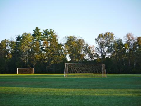 Field Gate Net Trees Football