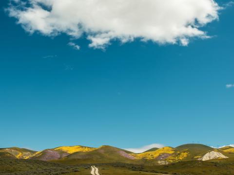 Field Hills Path Landscape Nature