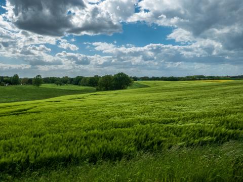 Field Hills Trees Landscape Nature Green