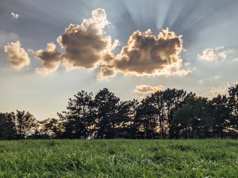 Field Trees Clouds Rays Light Landscape