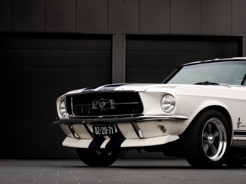 Ford-mustang Mustang Car White
