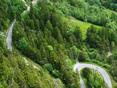 Forest Road Bends Aerial-view