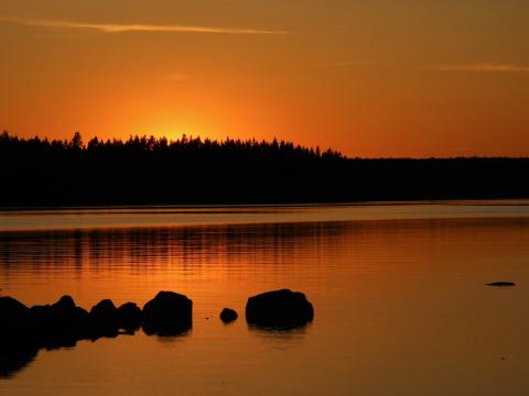 Forest Silhouettes Lake Stones Twilight Dark Orange