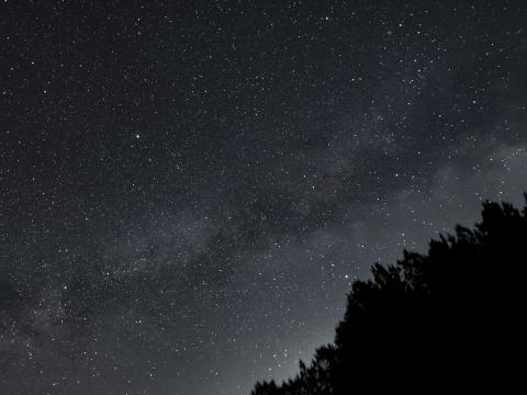 Forest Silhouettes Stars Night Dark